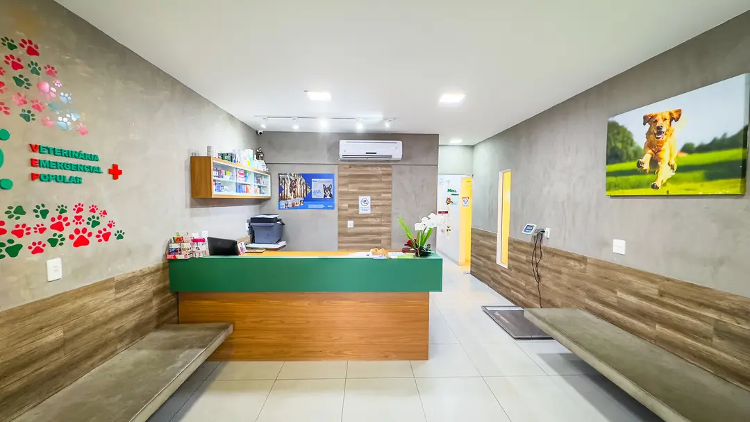Clínica Veterinária em São Gonçalo Recepção da Veterinária Emergencial Popular em São Gonçalo